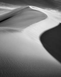 Desert Light 12<br>Death Valley 2008