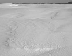 Desert Light 23<br>White Sands NM 2010