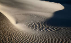 Desert Light 27<br>Death Valley 2006