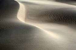 Desert Light 36<br>Death Valley 2006