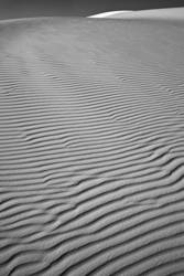 Desert Light 38<br>White Sands NM 2009