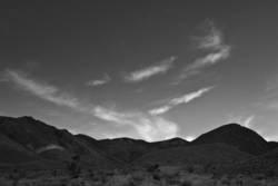 Desert Light 45<br>Joshua Flats CA 2009