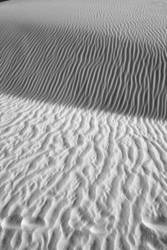 Desert Light 49<br>White Sands 2009