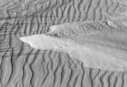 Desert Light 56<br>White Sands NM 2010